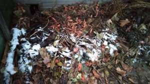 Летний червячник готов к зиме.