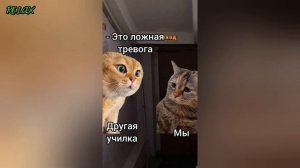 ПОЖАРНАЯ ТРЕВОГА В ШКОЛЕ