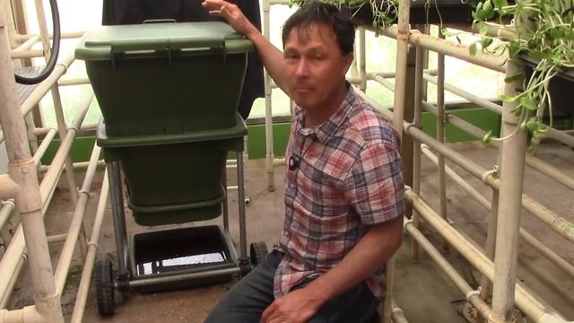 Best Way to Keep Worms: Hungry Bin Worm Farm vs Urban Worm Bag Review смотреть онлайн