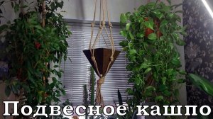 Подвесное кашпо из дерева. Плетение макраме.