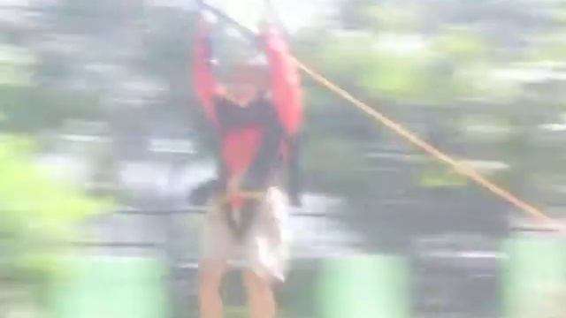 Flying Fox Game смотреть онлайн