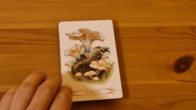 A Compendium of Witches Oracle pierwsze spotkanie смотреть онлайн