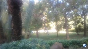 PALOMA FORESTA RESORT 5* Kemer: Walking Tour