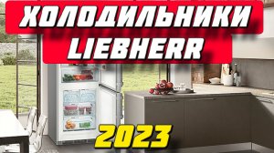 ХОЛОДИЛЬНИКИ LIEBHERR 2023