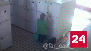 Жительница Подмосковья нашла 2,5 млн рублей в камере хранения - Россия 24 