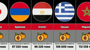 Страны по производству абрикосов