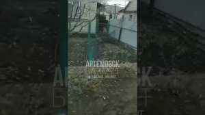 Красное село