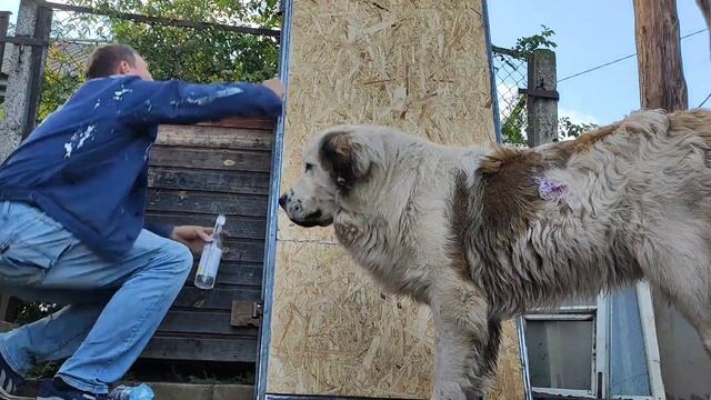 утепленная дверь своими руками смотреть онлайн