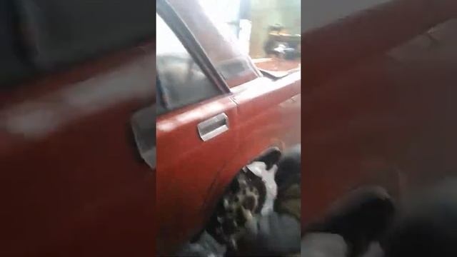 Ваз на вареных дисках смотреть онлайн