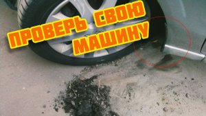 Что скрывают скрытые полости skoda rapid? Вибрация от колёс.