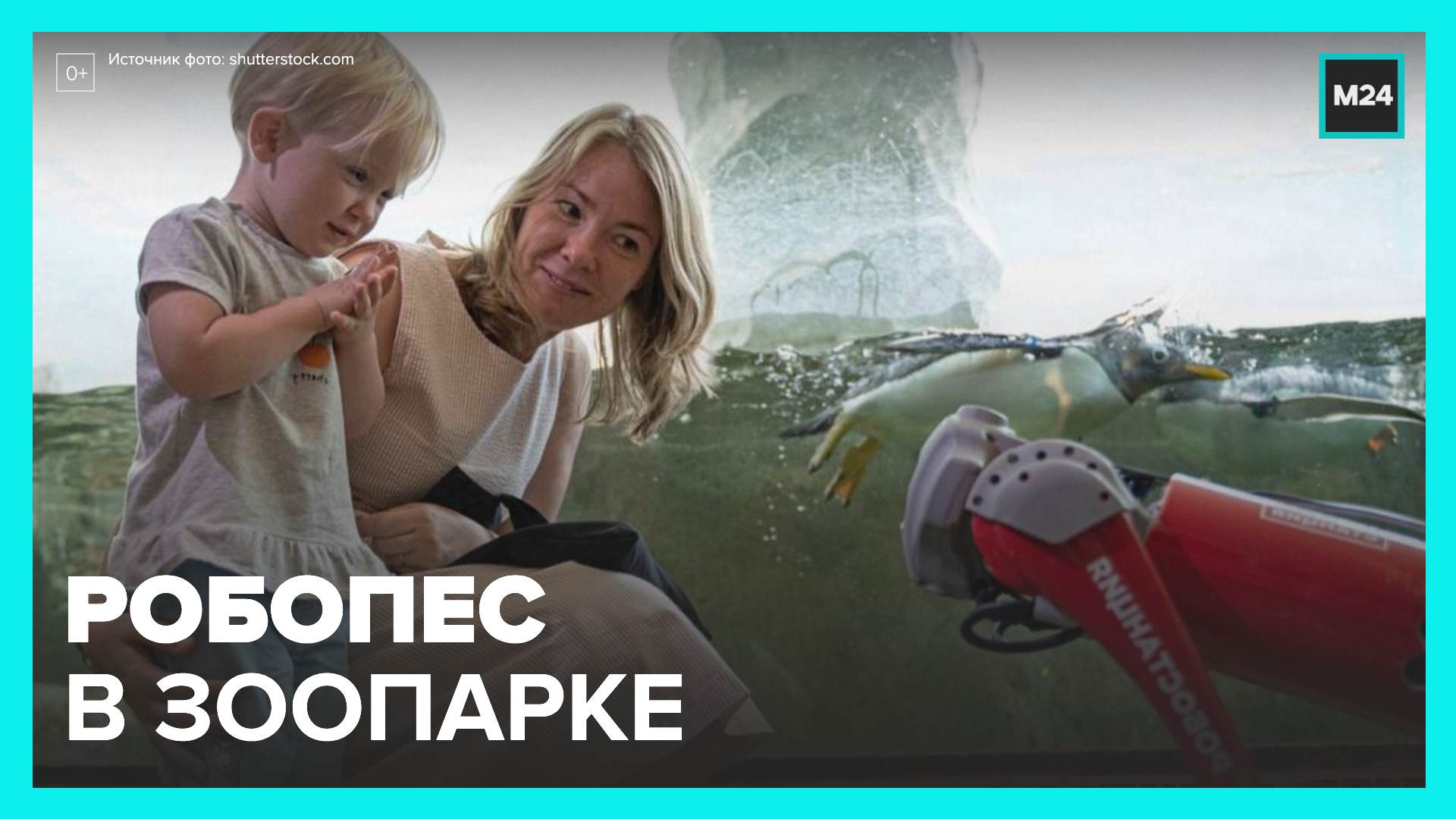 Робопес поселился в Московском зоопарке - Москва 24