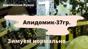 Зимовка пчел. Апидомик -37гр. мороза на улице (Bee.)