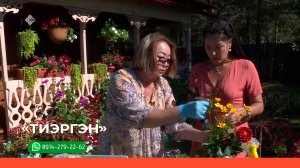 «Тиэргэн»  (31.08.23)