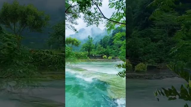 Bamboo Flute Music & River Flowing Sounds to Relax