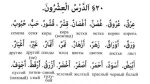 Дурус аш-Шифахия / الدروس الشفاهية Урок 20/ الدروس العشرون