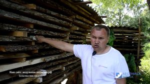 Сушка твердых пород дерева (атмосферная)