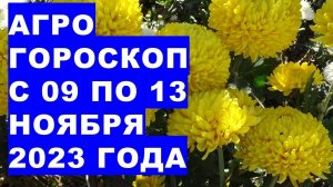 Агрогороскоп с 09 по 13 ноября 2023 года. Agrohoroscope from November 9 to November 13, 2023