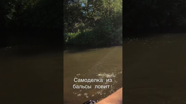 Голавль на самодельный воблер из бальсы.