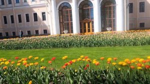 Цветы у Аничкова дворца!