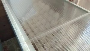 Совместная инкубация гусиного и индоутиного яйца! Таблица инкубации!