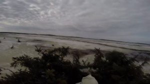 Охота на гусей. Goose hunting. на Буране по воде.