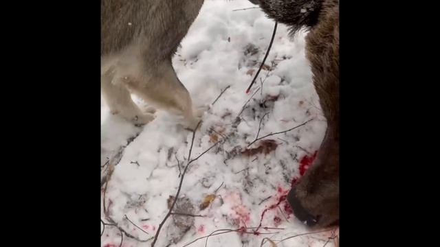 31-01-2024 смотреть онлайн