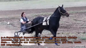 Посёлок Первомайский Дергачёвского района Саратовской области