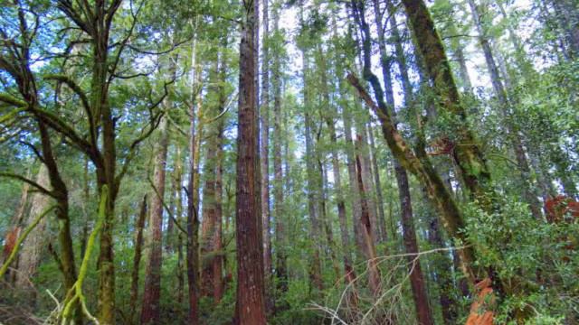 Much more than just an ocean view in Gold beach (640 x 480).wmv смотреть онлайн