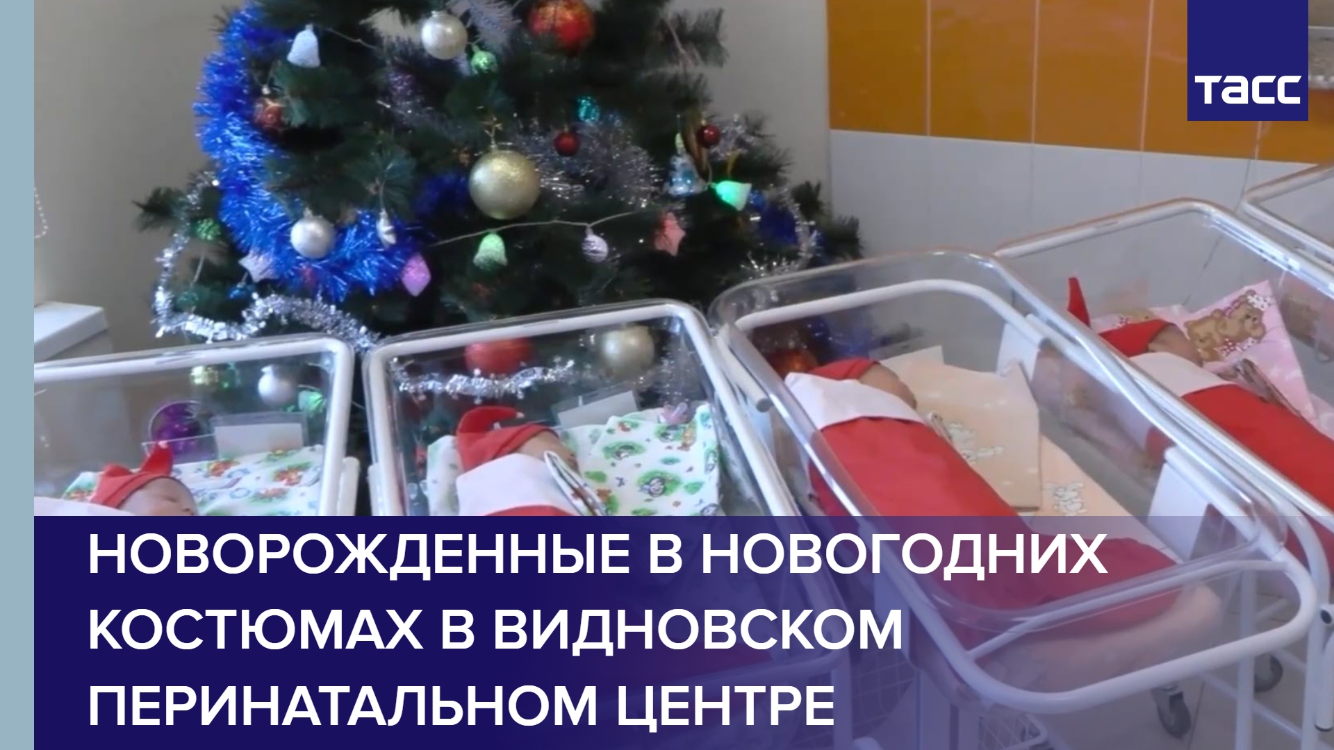 Новорожденные в новогодних костюмах в Видновском перинатальном центре #shorts