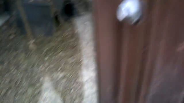 WP 20150131 11 48 27 Pro смотреть онлайн