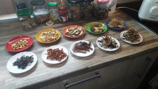 ZAČIN OD 10 VRSTA GLJIVA??️? Spice of 10 types of mushrooms смотреть онлайн