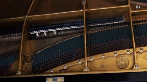 Белой акации гроздья душистые... На Фортепиано.