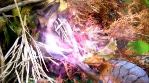 Динозавры стихий на ОСТРОВЕ АТОМНОЙ ЭНЕРГИИ. Встреча с ГОДЗИЛЛОЙ. Динозавры для детей