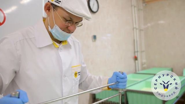 Как рождается сыр "Сернурский Камамбер" смотреть онлайн