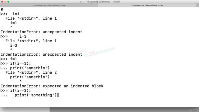 (Learn Programming With Python) 75-Tip 6-Beginners Mistakes-Indentation