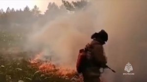 Природный пожар в Тарасовском районе, 07.06.24