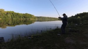 И СНОВА КАРПЫ МОНСТРЫ ВЫБИРАЮТ НАШ СУПЕР ГОРОХ!
