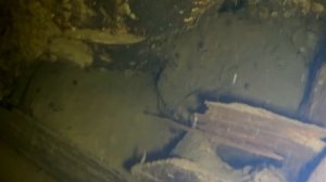 Зимовальная яма. Подводная охота.