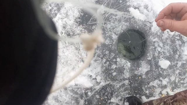 Кормушка-ловушка вариант использования. Симбиоз зимней малявочницы и китайской кормушки с сеткой. смотреть онлайн