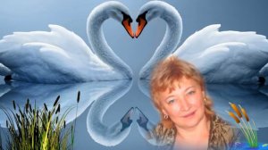 ЛЕБЕДИ ангелы белые