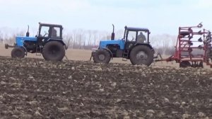 Культивация в два трактора Т-150К и один МТЗ-1221 с культиваторами КПС-8.