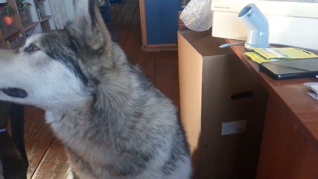 В 98 Майская река, майский огород, короче Май смотреть онлайн