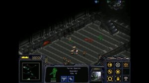 StarCraft 1: The Reaver Menace Secret - A Symphony of Teeth and Claws