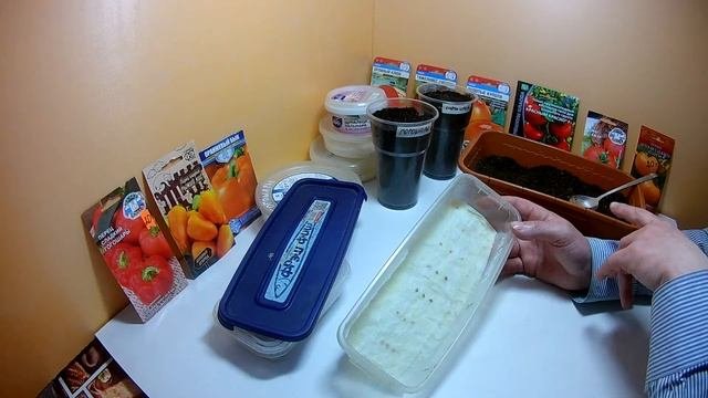 Замачивать ли семена перед посадкой.Плюсы и минусы при выращивании рассады из семян.