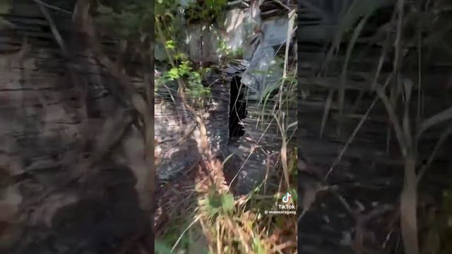 За какво е била структурата, която е била маскирана като планина