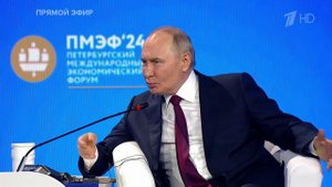 Владимир Путин и модератор ПМЭФ Сергей Караганов обсудили "петуха и курочек"