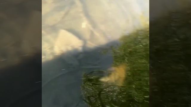 Рыбалка в Рязани и Рязанской области.
