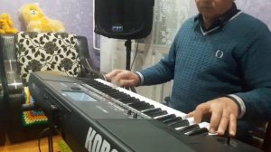 Виновата ли я. Korg PA600.