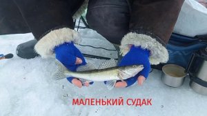 Новогодняя рыбалка на Шершневском водохранилище 4.01.2024! #рыбалка