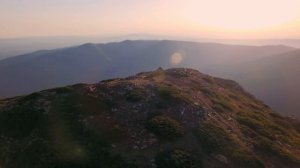 В поисках сновидений